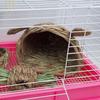 Straw Braid Rabbit Head Shape Chinchilla Hamster Hedgehog Grass Warm House Nest