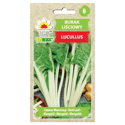 Blattrüben-Lucullus-Samen, 5 g Gemüse für den Garten, frisch, große Erträge