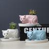 Cartoon Animal Succulent Flower Pot Creative Desktop Plant Cactus Ceramic Flower Pot With Tray