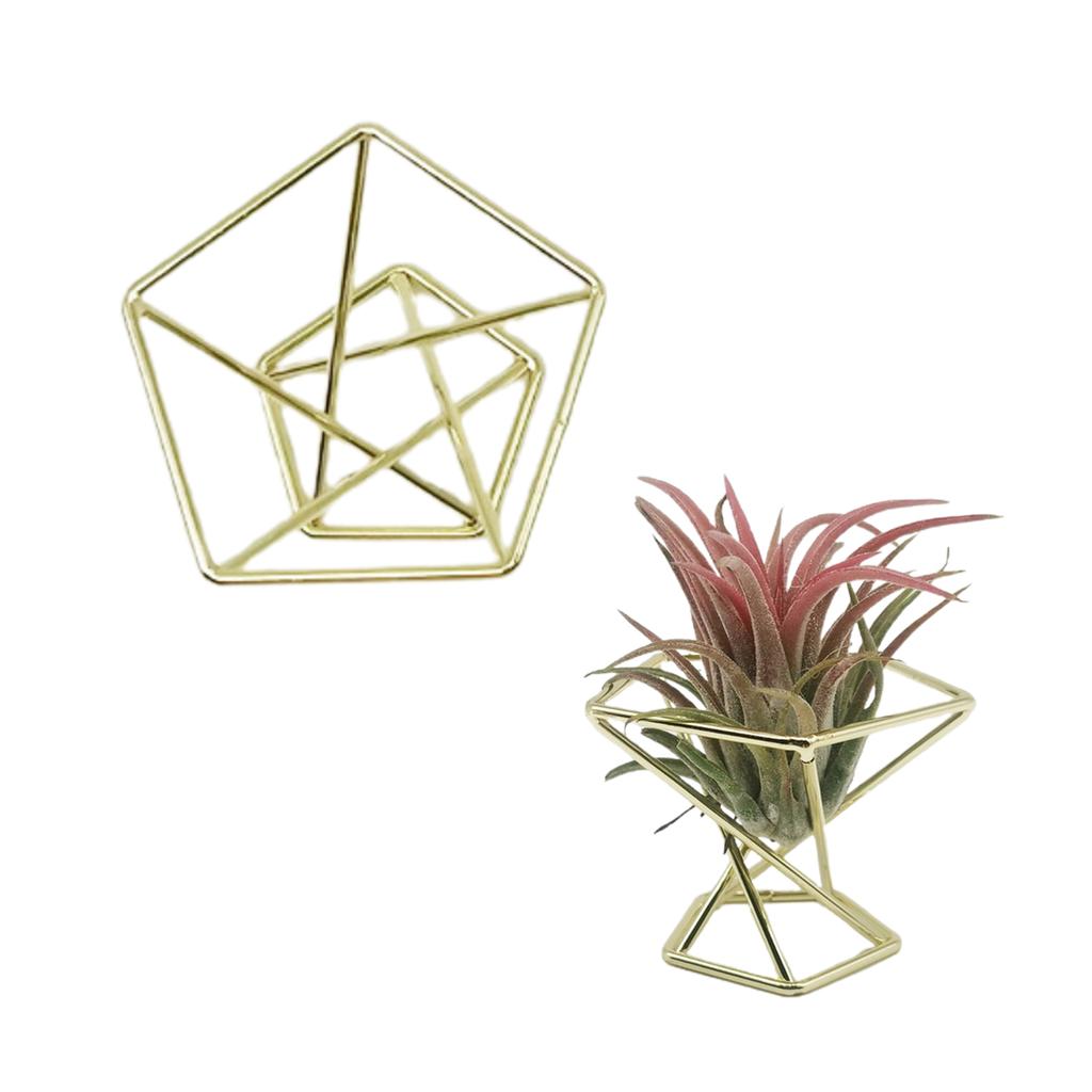 Ananas Pflanzenständer Geometrischer Luftpflanzenständer Puderdosenhalter Roségold (Material: Metall, Größe: Durchmesser 55MM)