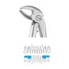 GDC Extraction Forceps Lower Premolars Pedo Standard (FX1CS)