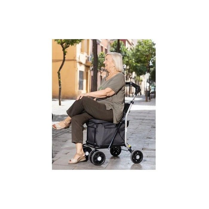 Rollator and Shopping Trolley In One Foldable with Seat Basket 29 L Lett 800