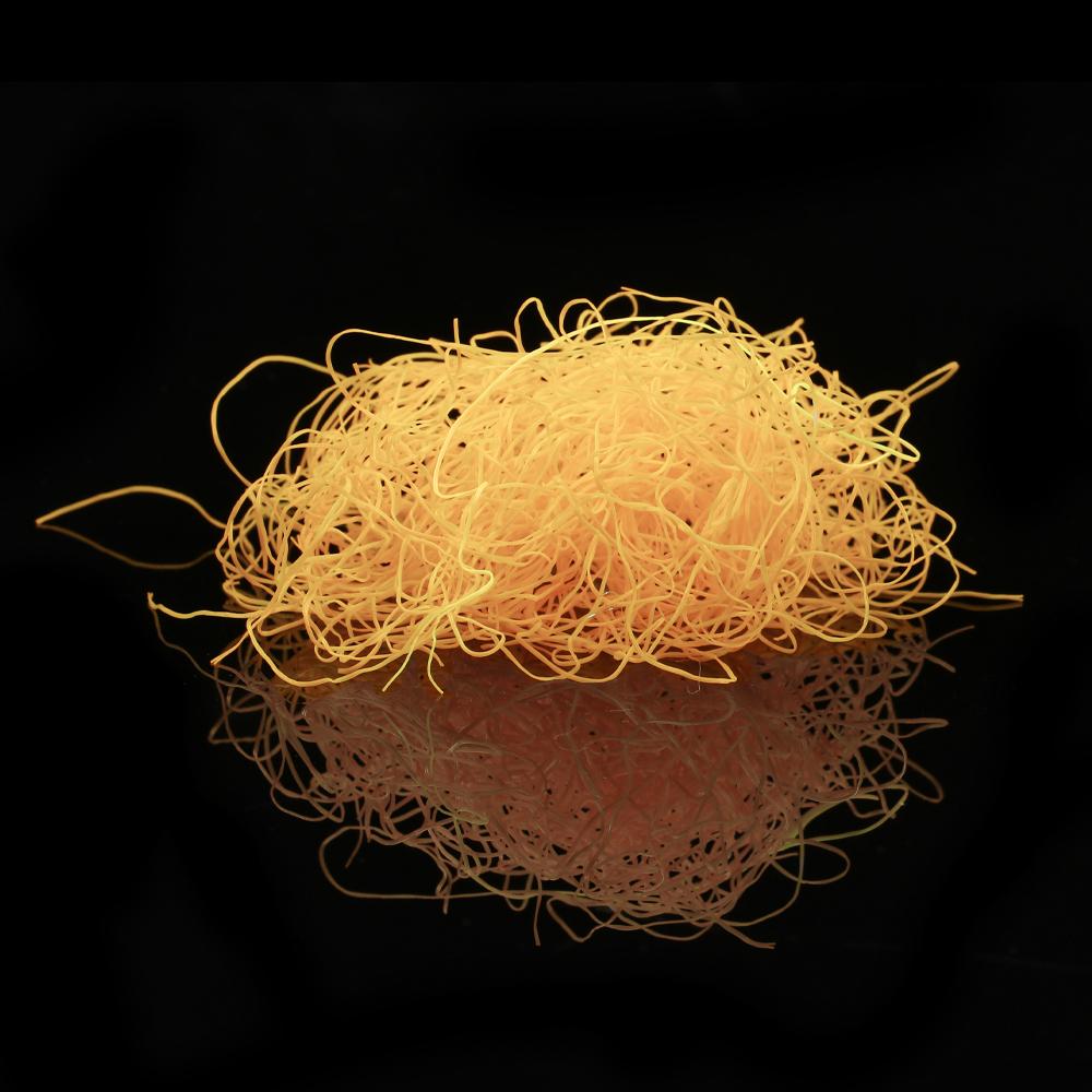 Bimoo 2g/pakk Ultra Fine Silikon Flutter Ben Dub Gummi Ben Stonefly Nymph Tørr Våtfluer Leg Kropp Flue Binding Materiale