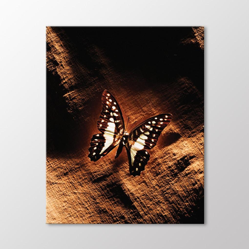 

Бабочка Живопись