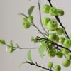 Luxurious Faux Green Apple Plant Branches: Fresh Home and Restaurant Decor Ornament
