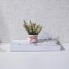 Lifelike Potted Plants Ornaments Simulation Plants Artificial Potted Flowers  Home Decor