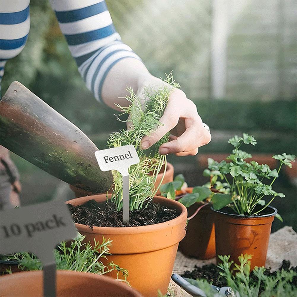 10Pcs Metal Plant Labels Weatherproof Garden Label Markers Reusable Garden Stake Tags for Vegetables  Flower Seed Greenhouse