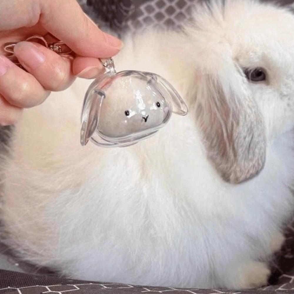 Handmade Rabbit Hair Storage Box Dog Hair Storage Container  Backpack Charm