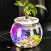 Transparent Small Clear Fish Tank Shatterproof Turtle Terrarium Turtle Aquarium  Office Decor