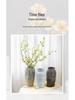 Nordic Minimalist Ceramic Vase for Dried Flowers and Hydroponics