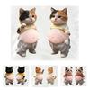 2Pcs 3D Belly Cat Anti-collision Sticker Anxiety Stress Relief Elastic Tummy Cartoon Kitten Decal Silicone Belly Animal Buffer Sticker