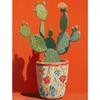 Poster Trendy Cactus Deserto Boho Western Messico Girly Estate Stampe Minimaliste Pittura su Tela Arte da Parete Immagine Decorazione Stanza Casa