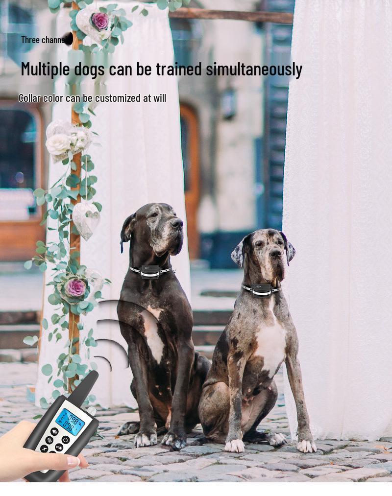Waterproof Smart Remote Dog Trainer - Multi-Mode Bark Control for Two Dogs