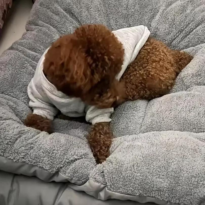 Dog Pet Beds Extra Large Plush Dog Bed Sofa Thickened Super Soft Polyester Pet Mat Dog Crate Mat Bed For Large Dog Bed