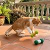 2PCS Soft Plush Cat Chew Toys Bite-Resistant Interactive Cat Toys Cat Teaser Toy  Indoor Use