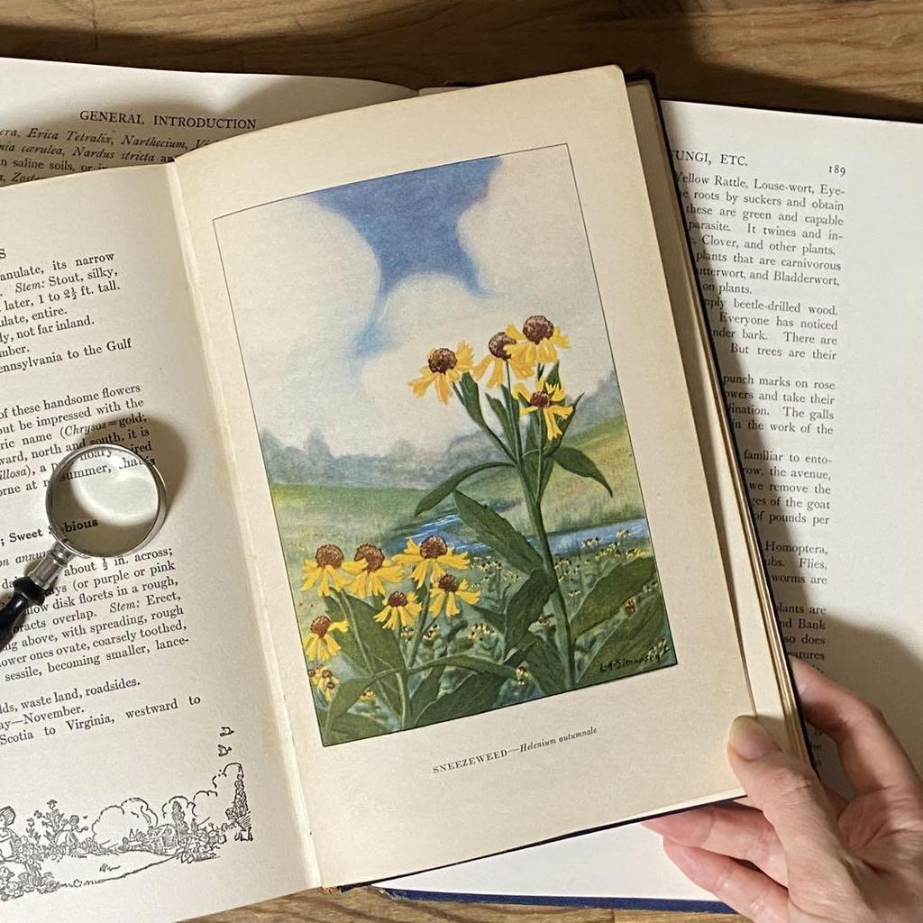 [USED] Rare American Vintage Antique Wild Plant Encyclopedia