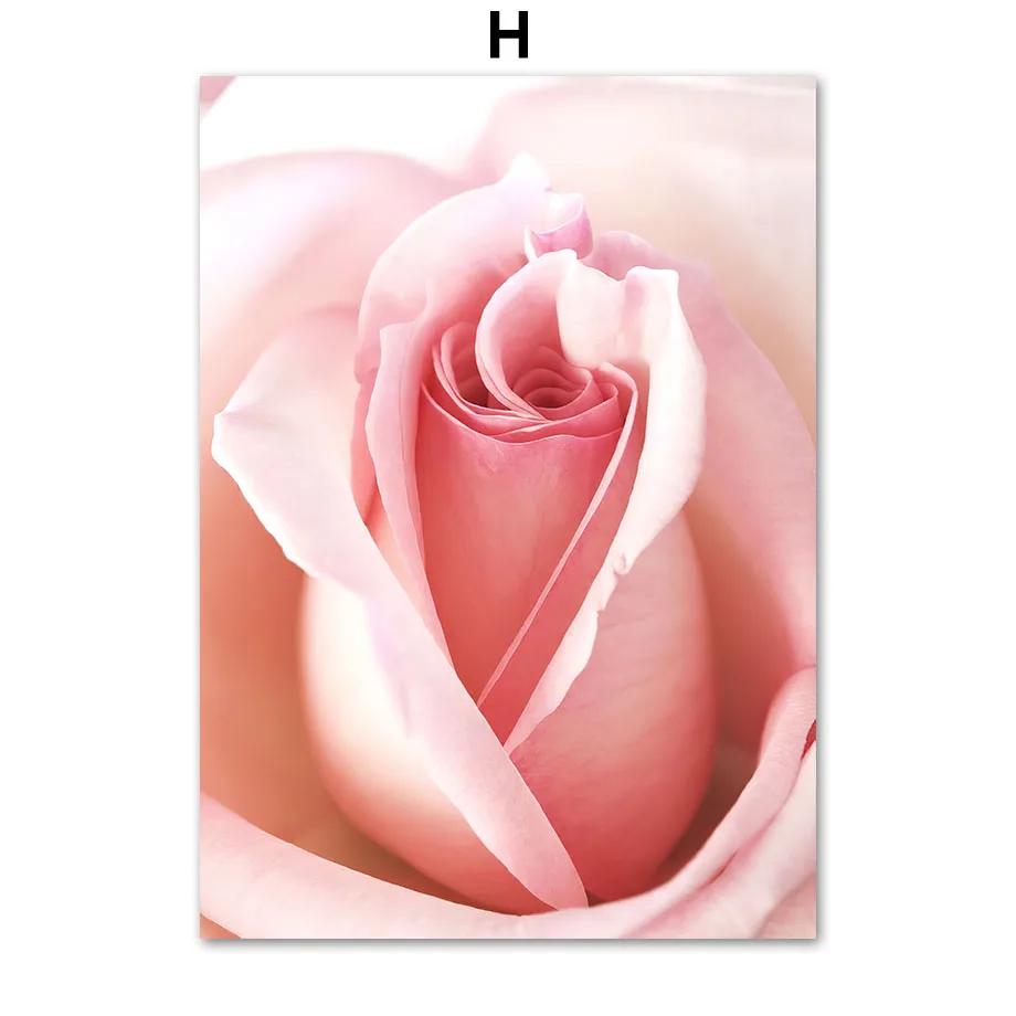 Pink Rose Peony Daisy Flower Quotes Posters And Prints Canvas Painting Nordic Gallery Wall Art Pictures For Lving Room Decor