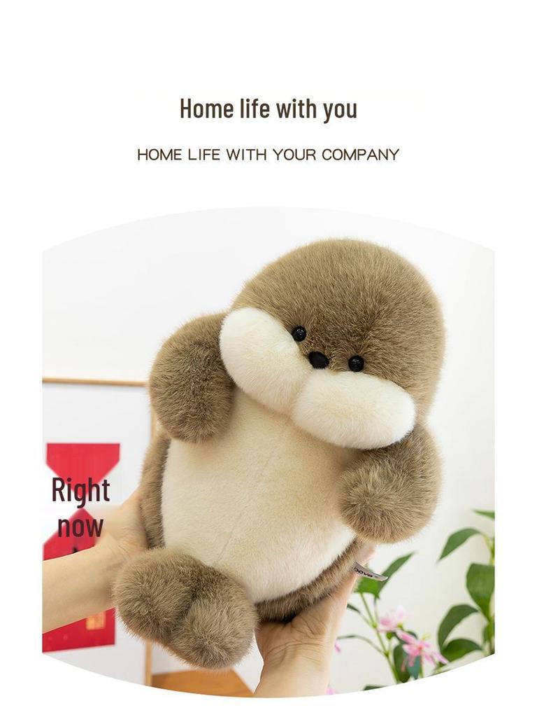 Dundun Ocean Seal Plush Toy - Cute Sleep Companion & Children's Birthday Gift