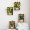 Wall Framed Artificial Plant Faux Greenery Plant In Frame Wall Decor Hanging Fake Bonsai for Home Garden Room Yard Wedding Party Vertical Decoration