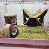 Hamster Hängematte Warmes Bett Plüschhaus Versteck Käfigzubehör für Kleintiere Frettchen Igel Spielen Schlafen Klettern