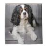 Perros Cavalier King Charles Spaniel Cortina de Ducha Tela de Poliéster Impermeable Cortinas de Ducha para Baño Decoración de Baño Con Ganchos