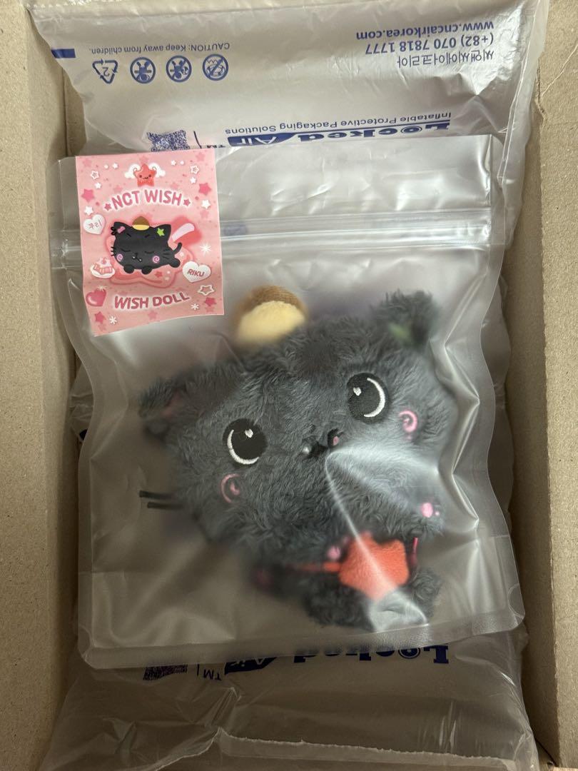 

[USED] NCTWISH Riku WISHDOLL Plush Toy MD Steady