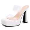 Sexy Women's Slippers 13cm High Heels Platform Mules Summer Shoes 2025 Outdoor Designer Luxury PVC Transparent Slide Ladies