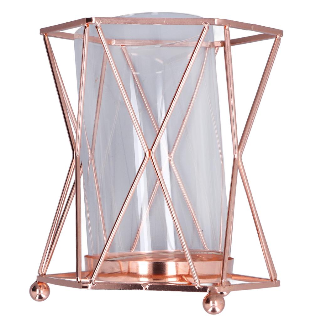 Plant Vase with Wrought Iron Flower Stand Transparent Glass Flower Pot Hydroponic Vase for Living