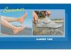 Adult Beach Snorkeling & Diving Shoes for Men & Women - Lightweight Barefoot Wading & Swimming