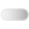 LED Bathroom Mirror 100x45 Cm Oval