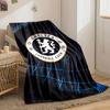 A circular logo with a lion holding a staff, surrounded by a grid pattern. for all seasons blanket lunch break throw gift