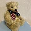 [USED] Sun Arrow Teddy Bear Plush Toy, Fluffy Bear, Gentleman Bear with Ribbon