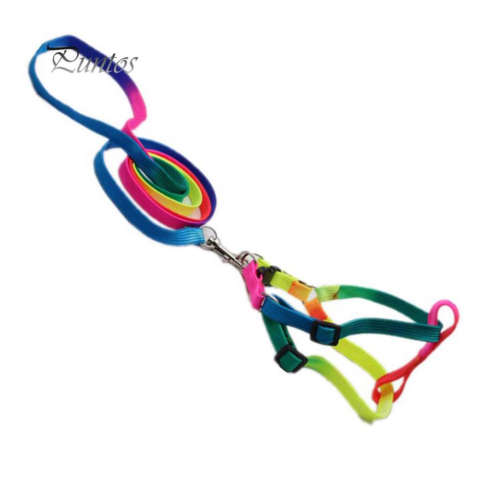 Pet Strap Puppy Chest Harness With Lead Leash