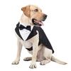 Black/Stripes Dog Tuxedo Costume Detachable Design Large Dog Costume Set  Autumn Season