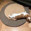 Yousheng Cotton Rope Area Rug Braided Round Cat Scratching Rug Washable Vintage Floor Mat for Bedroom Living Room Couch Side Table
