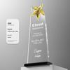 Crystal Trophy: Five-Pointed Star Metal Award for Children's Basketball and Outstanding Employee Excellence