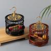 Insecte – Terarii pentru insecte