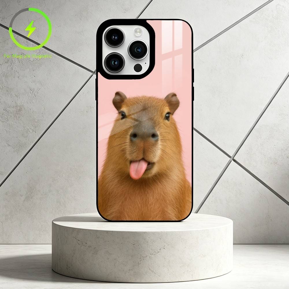 

C-Capibala Phone Case For iPhone 17 16 15 14 13 12 Pro Max Plus for Mirror Wireless Magnetic Cover iPhone17Promax