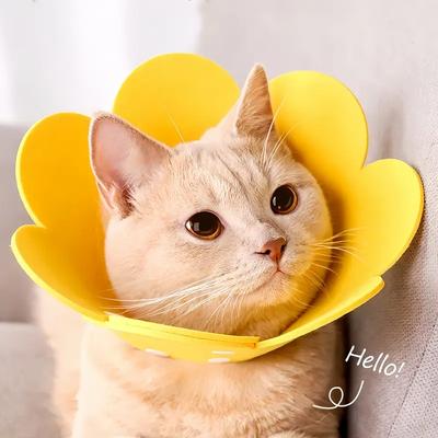 Katter – Vårdprodukter