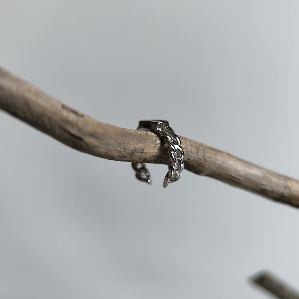 Silver Earrings Without Stones (2214816)