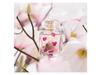 Escada Celebrate Now Eau De Perfume Spary 80ml