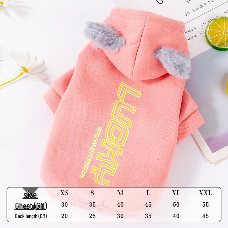 Cozy Autumn/Winter Sweatshirt for Small Pets - Schnauzer, Teddy Bear, Bichon