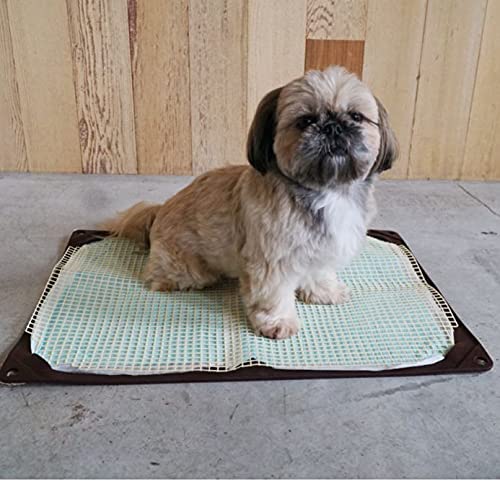Hario Dog Toilet Mat J Regular Brown