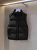 Women's Fashionable Winter Down Vest - Korean Style, Petite, Short Length