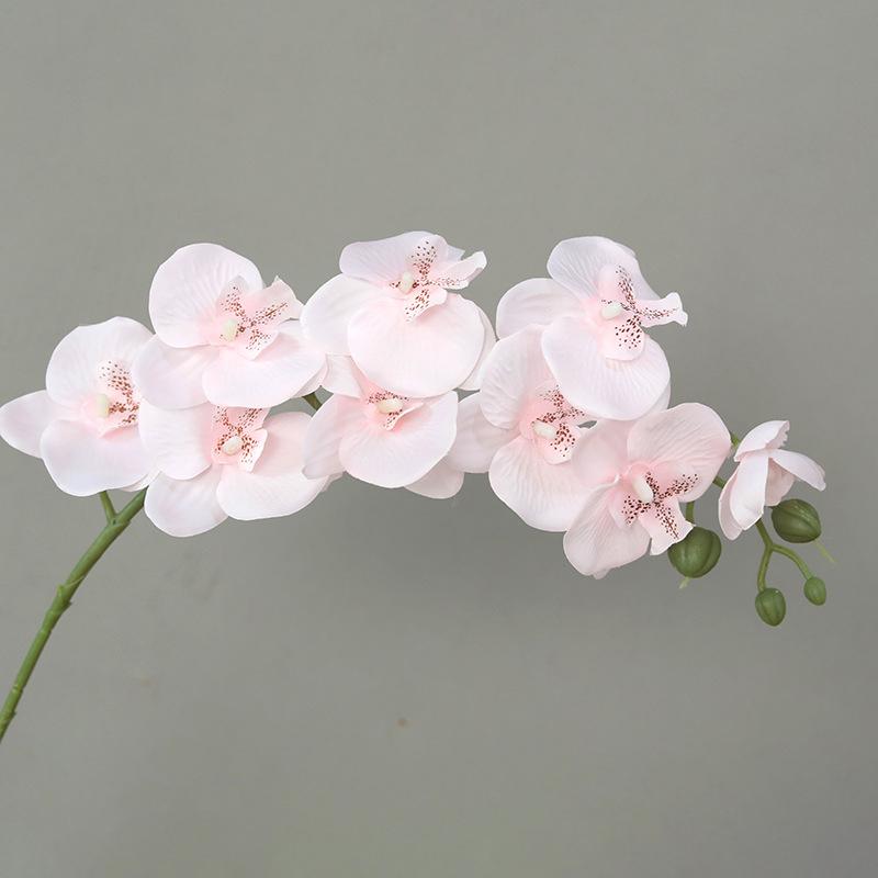 69Cm 3D New Artificial Phalaenopsis Flower Branches Real Touch Faux Butterfly Orchid Stems Floral Arrangement Wedding Home Decor