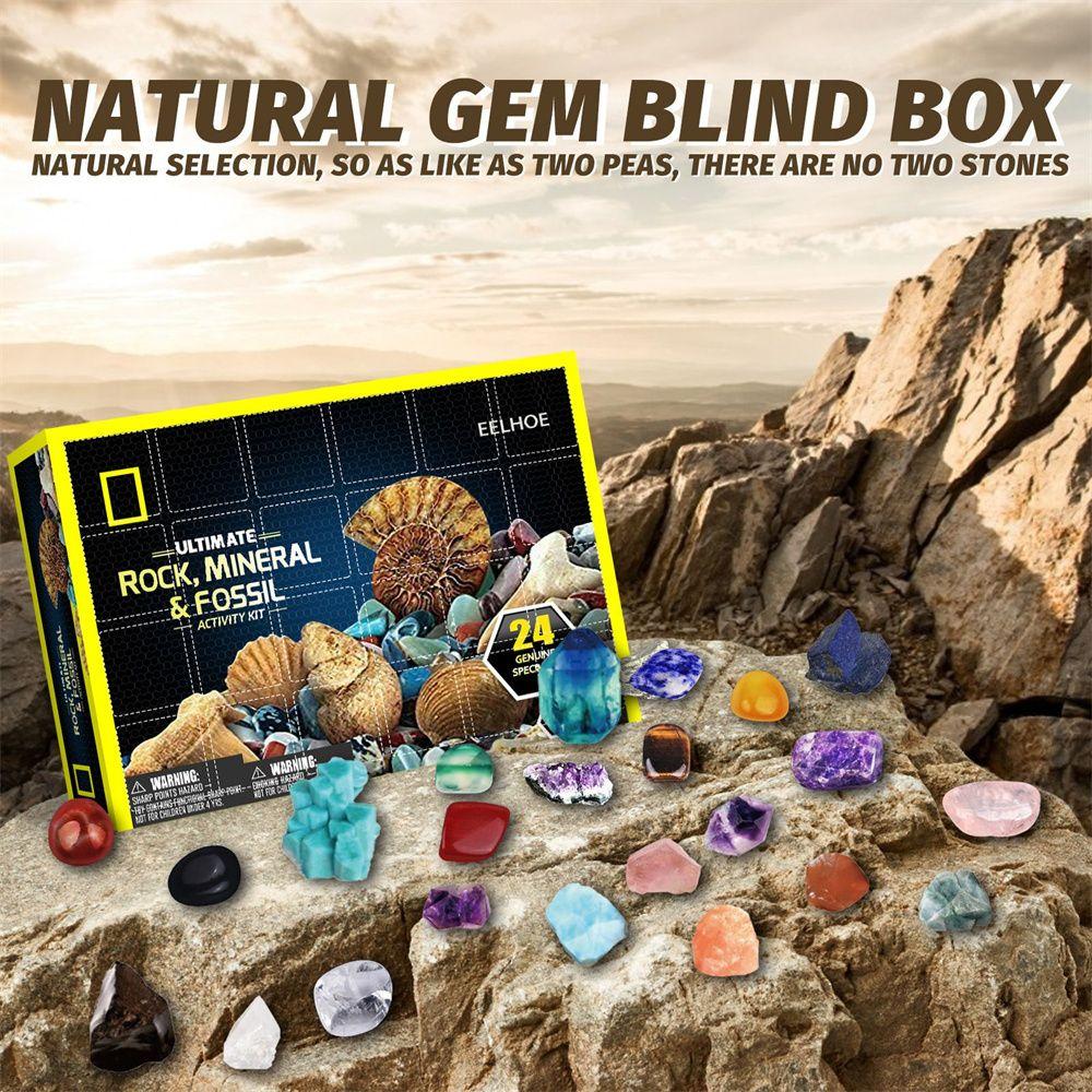 Buy Rock Countdown Mineral Fossil Stone Kit Christmas Gift Box Early Buy Rock Countdown Mineral Fossil Stone Kit Christmas Gift Box Early