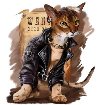 cat in a leather jacket
