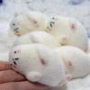 Slow Rising Simulation Seal Pinch Toy Realistic Seal Reduce Pressure Toys  Reduce Anxiety Gift