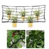 Trellis Netting Scrog Net with 4 Hooks Simple Installation Cucumber Gardening Horticulture Heavy-Duty Plant Net