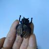 10pcs Simulation Cicada Novelty Ornament Model Ornament Office Furniture Ornament Statues Home Decoration Accessories